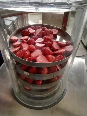 利用（yòng）欣諭實驗室（shì）凍幹機進行草莓脆的冷凍幹燥實驗欣諭XY-FD-1實驗室冷凍幹燥機（jī）普通型