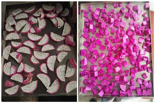 火龍果等水果凍幹後的成品